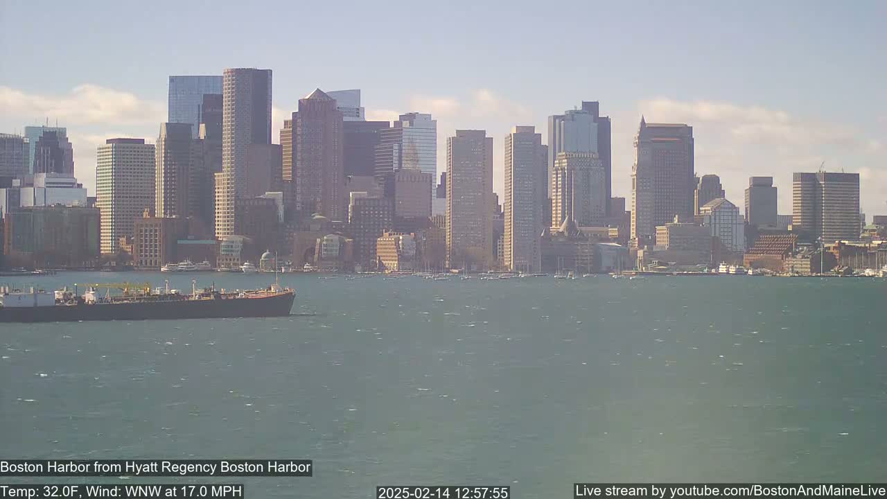 A large cargo ship is on a choppy harbor with a city skyline in the background under a mostly sunny sky.