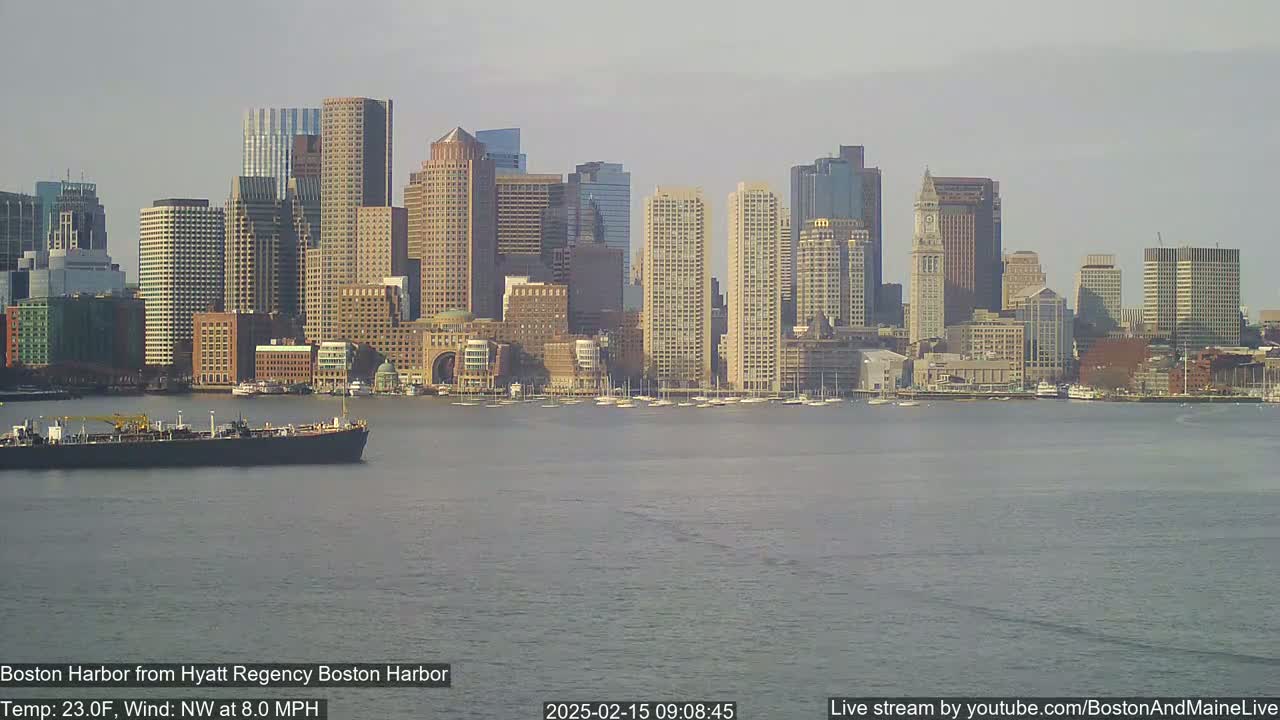 A large cargo ship is in the harbor in front of a city skyline under a hazy sky.