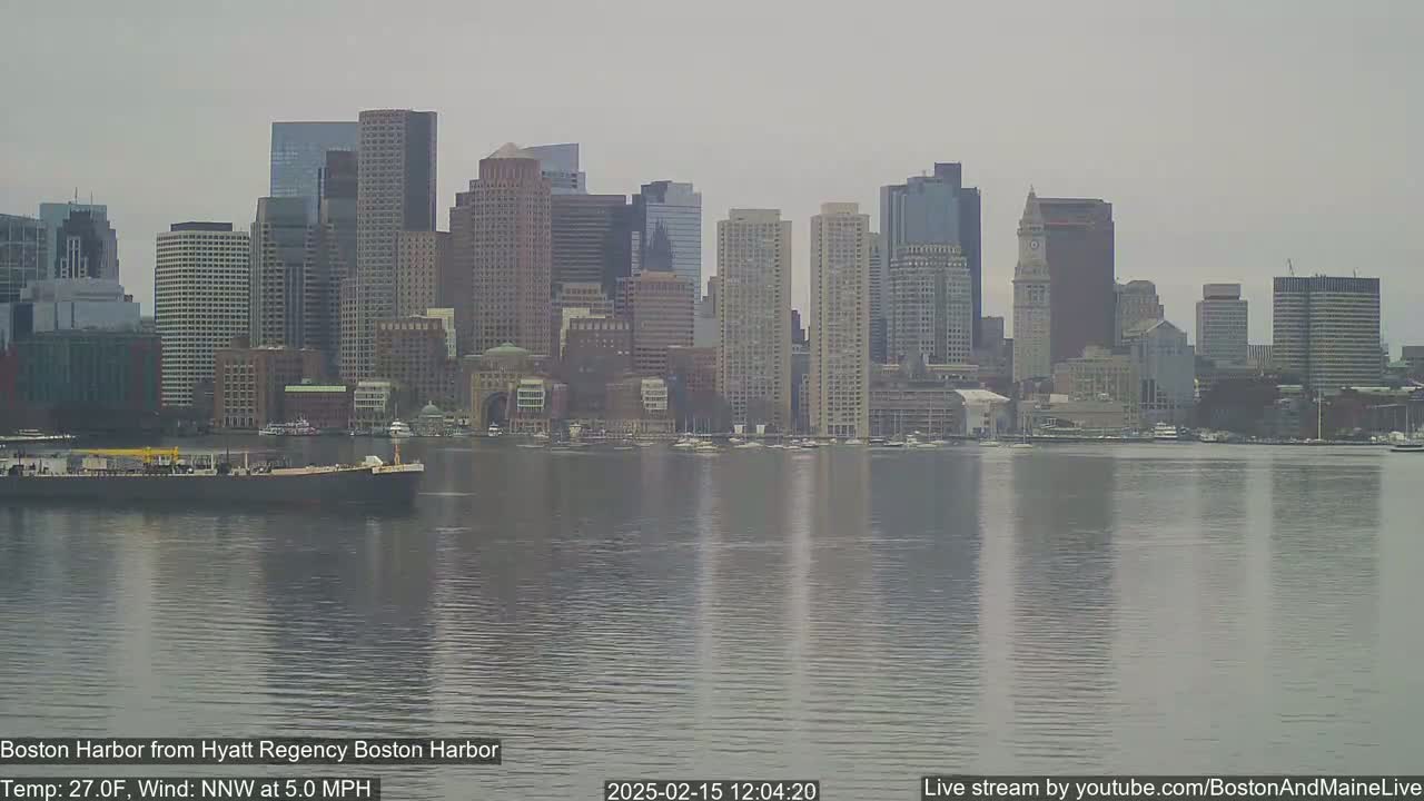 A city skyline with numerous skyscrapers is seen across a calm body of water on an overcast day.