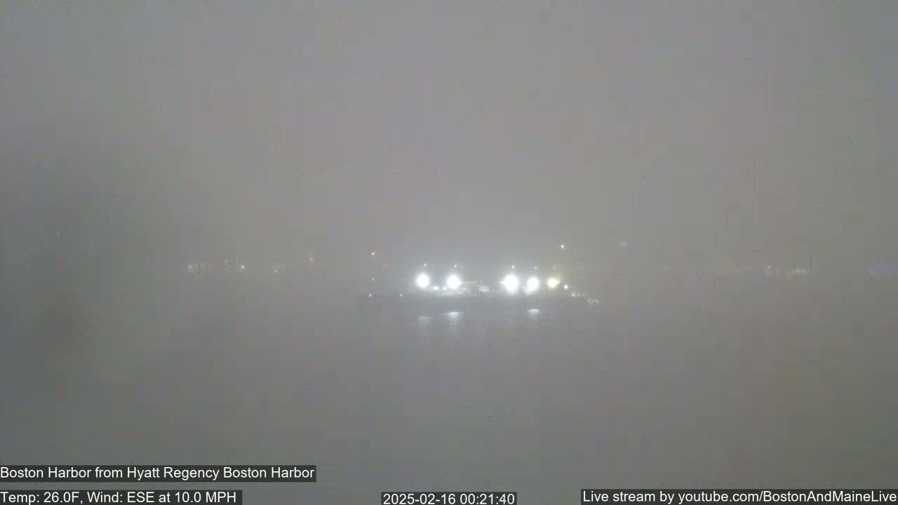 A foggy harbor scene at night shows dimly lit buildings across the water.