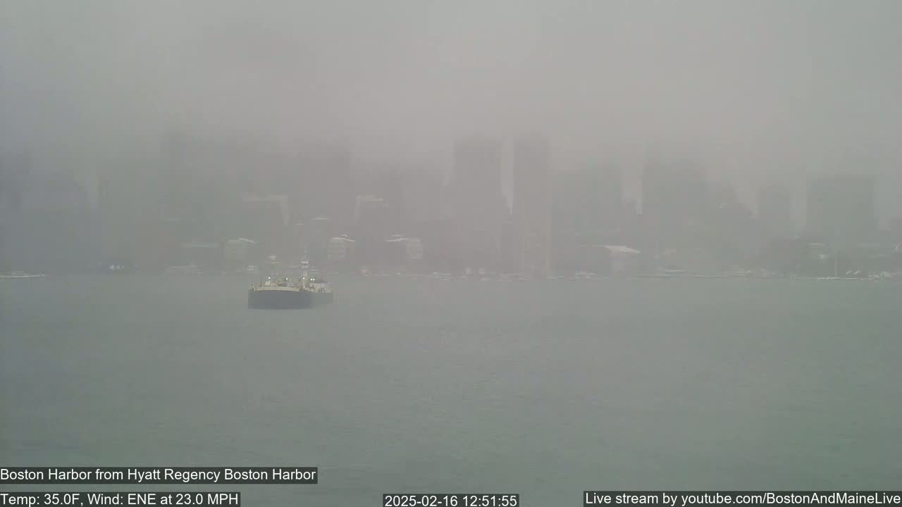 A barge is visible on a foggy harbor with a city skyline faintly visible in the distance.