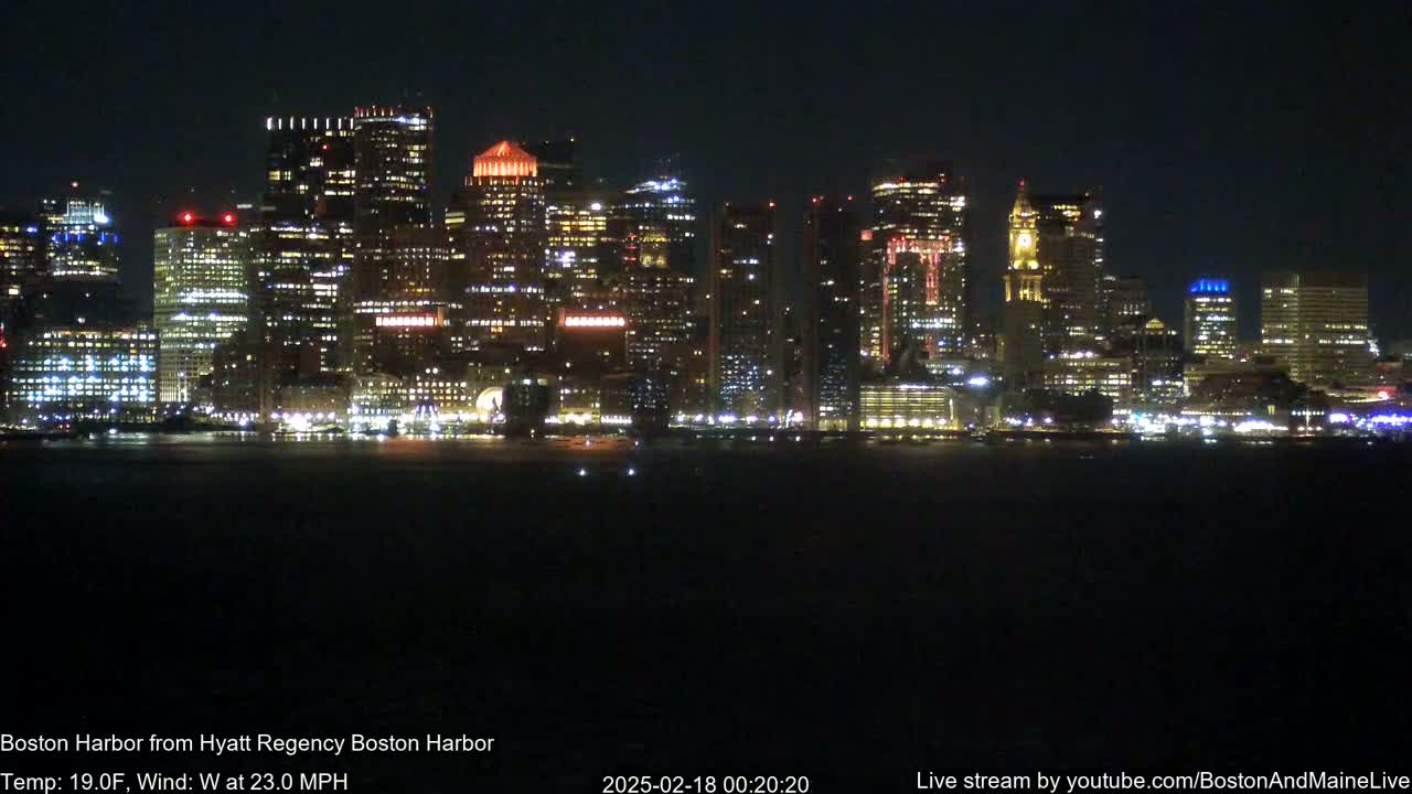 A brightly lit city skyline is visible across a dark body of water at night, under a clear sky.