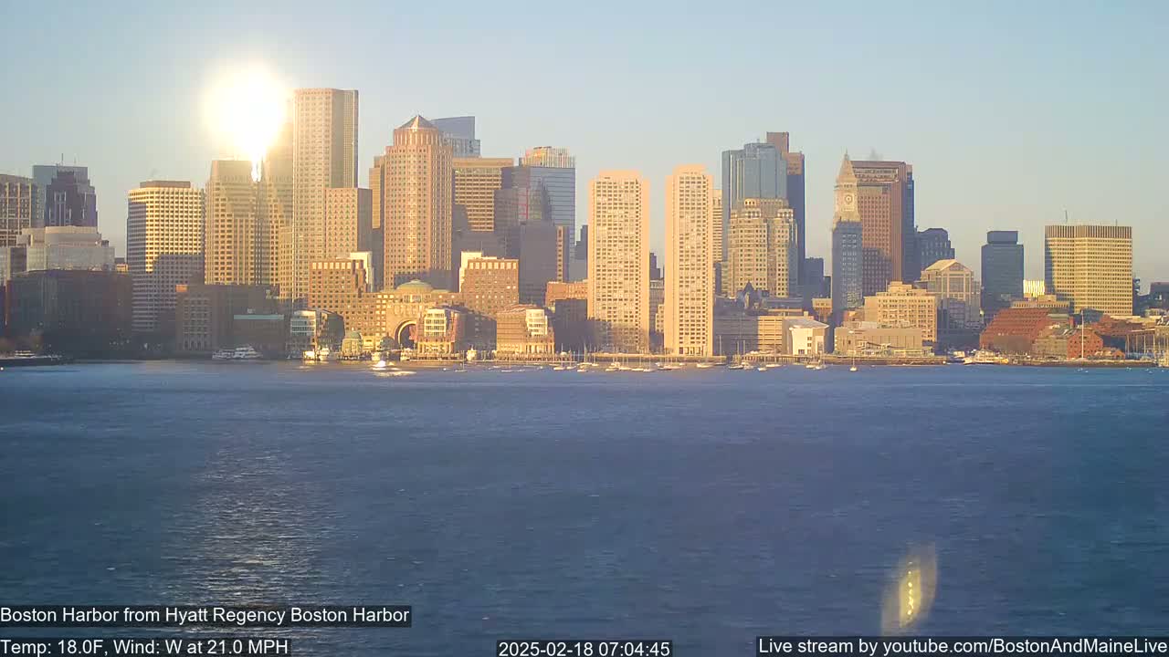 A city skyline is visible across a calm body of water, with the sun shining brightly in the morning sky, and a moderate westerly wind.