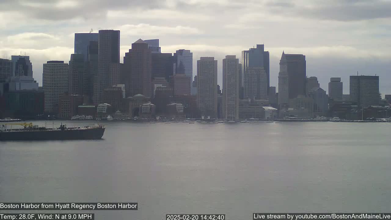 A large city skyline is visible across a calm body of water under an overcast sky.