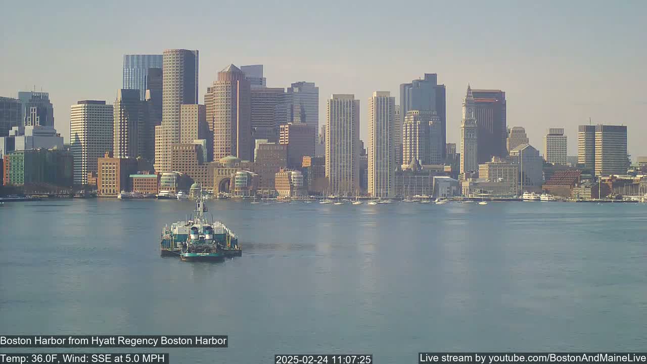 A tugboat travels across a calm harbor in front of a city skyline under a clear, bright sky.