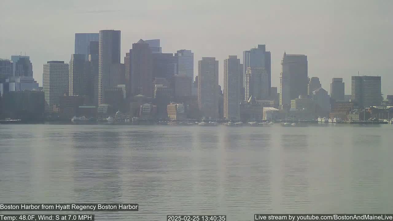 A hazy cityscape of numerous skyscrapers sits across a calm body of water.