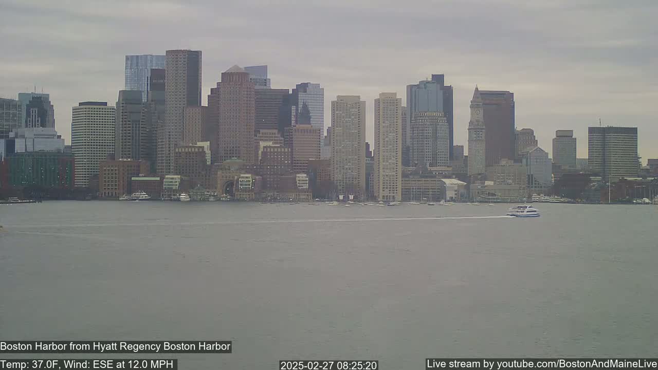 A boat travels across a calm harbor in front of a city skyline under an overcast sky.