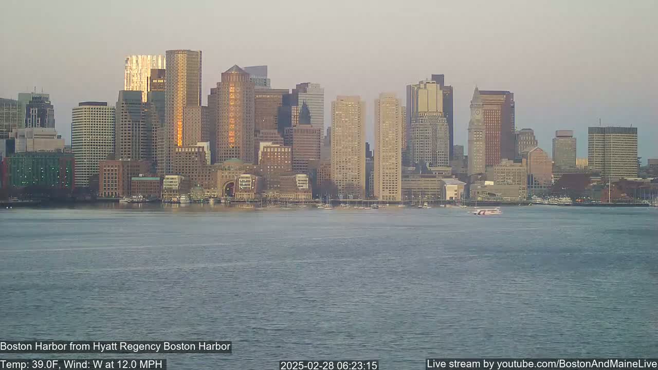 A city skyline with many tall buildings is seen across a body of water under a hazy sky.