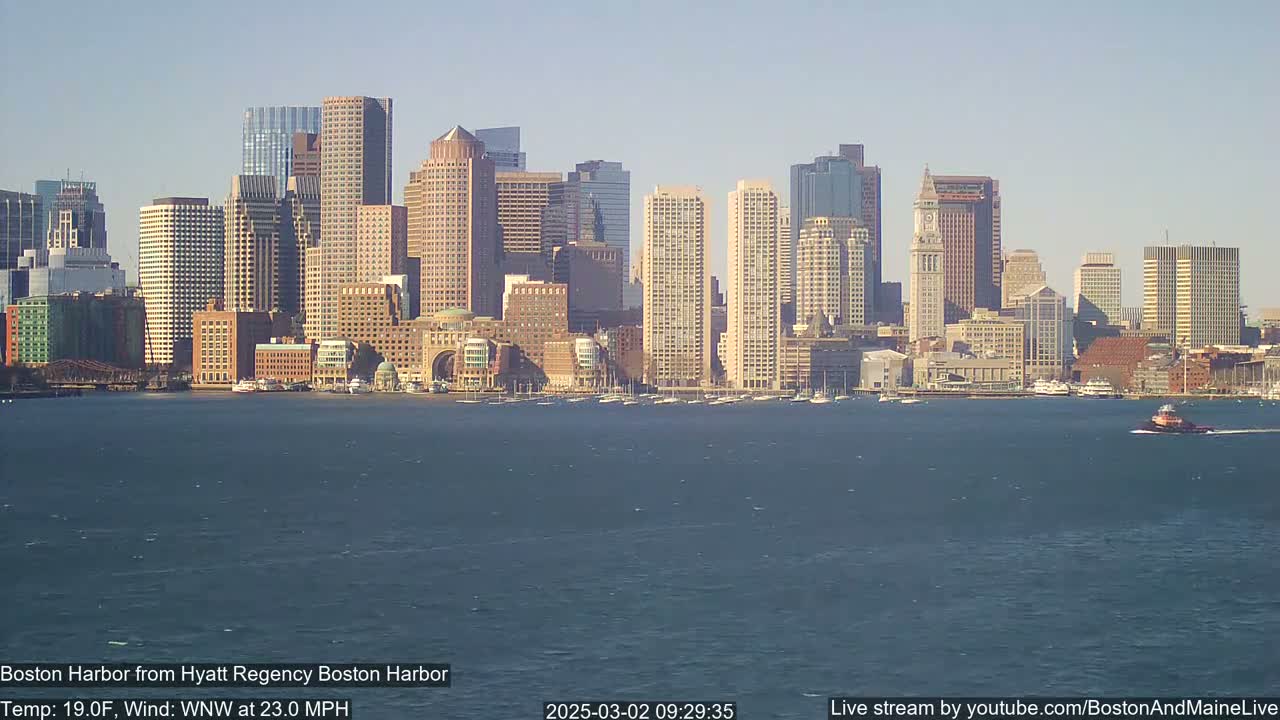 A tugboat travels across a choppy harbor in front of a cityscape under a clear, sunny sky.