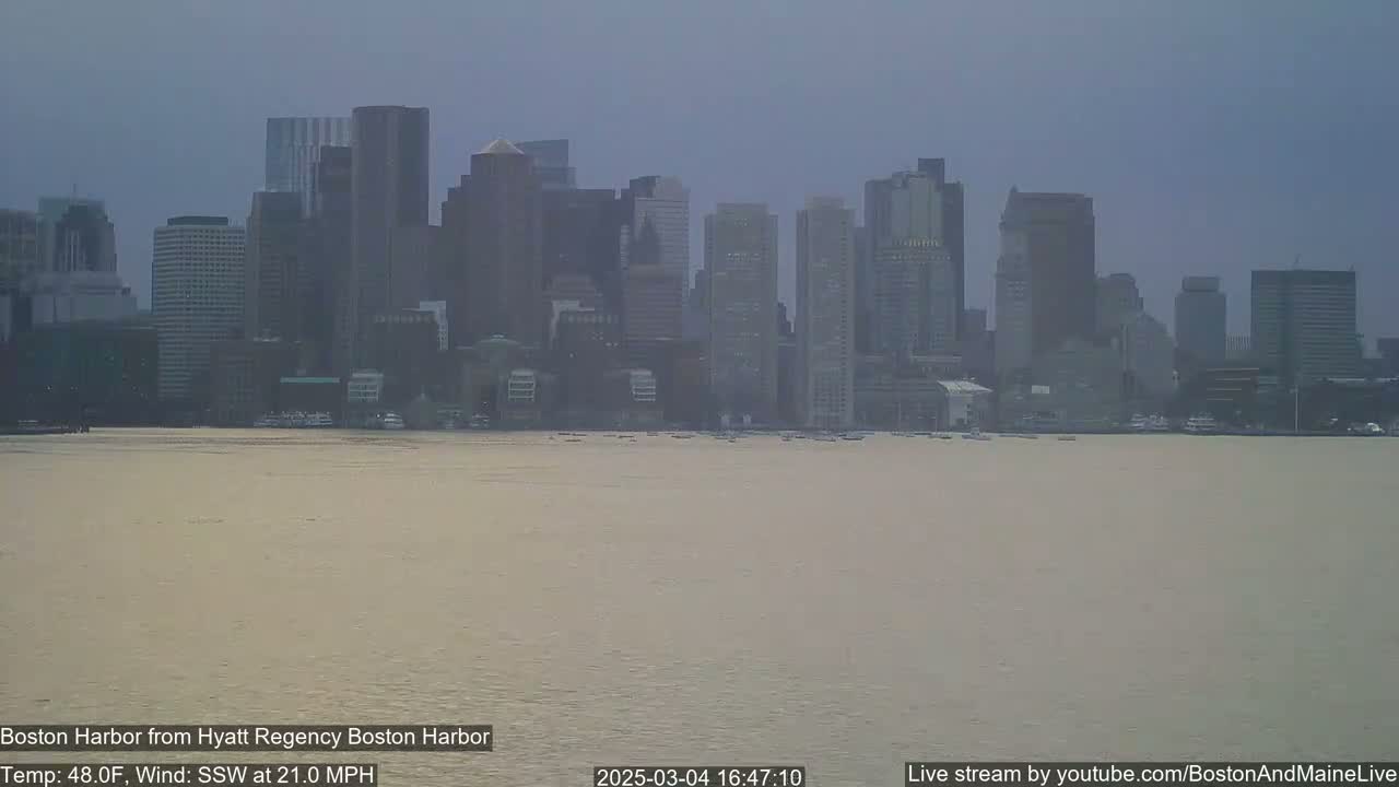 A hazy view of a city skyline across a calm, brown-tinged body of water, under a muted sky.