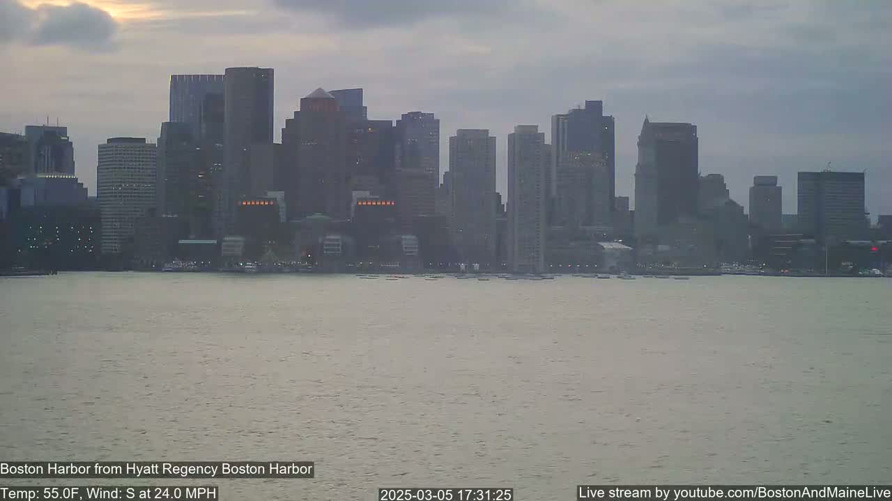 A city skyline of numerous skyscrapers is visible across a choppy body of water under an overcast sky.