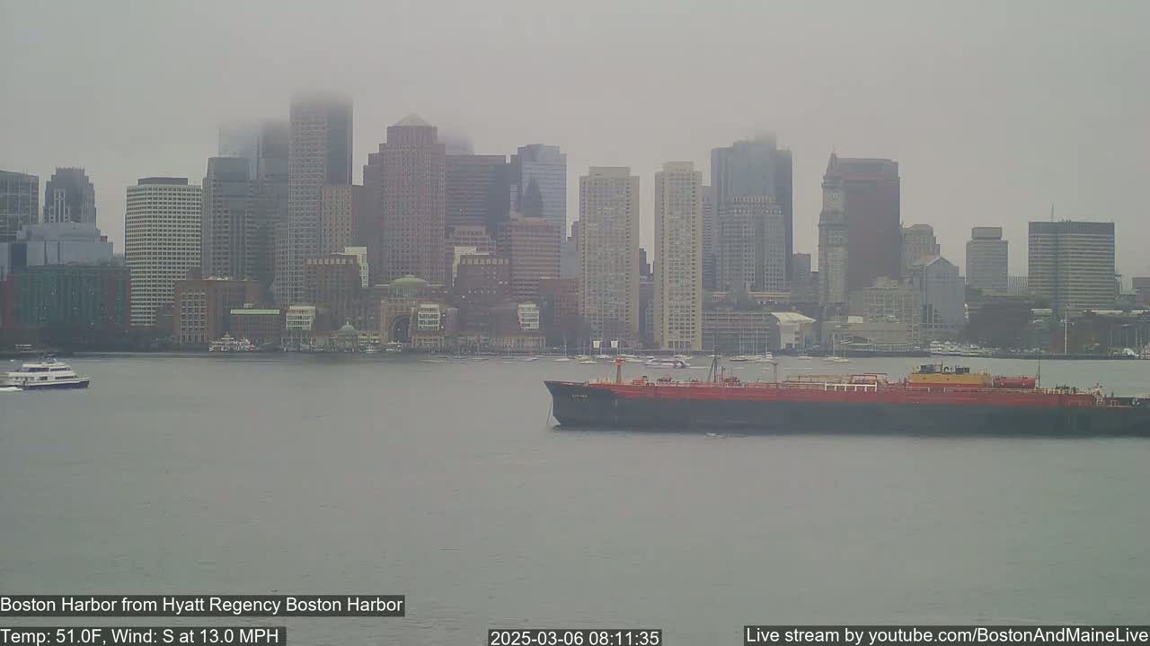 A large cargo ship sits in a harbor in front of a hazy, foggy city skyline under overcast skies.