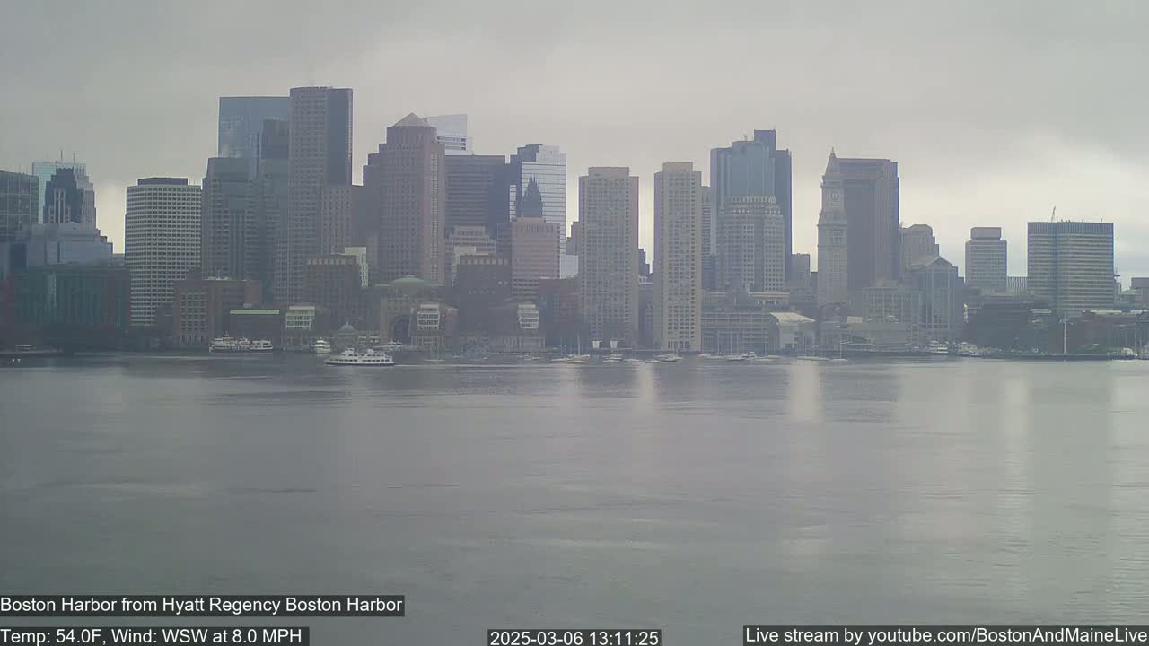 A hazy city skyline, viewed from across a calm body of water on an overcast day.