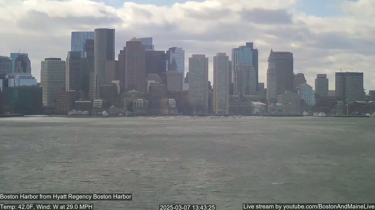A city skyline with numerous skyscrapers is visible across a choppy harbor on a partly cloudy day with a 29 mph west wind.