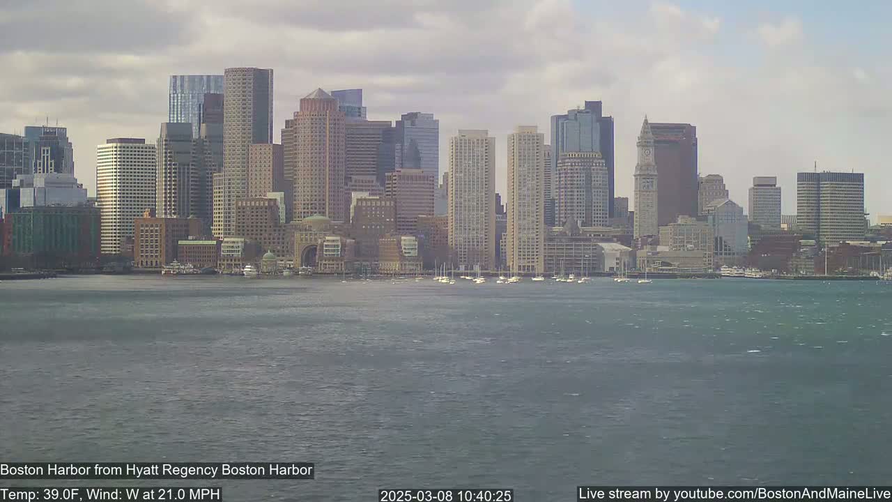 A city skyline with many tall buildings is seen across a choppy harbor under a cloudy sky.