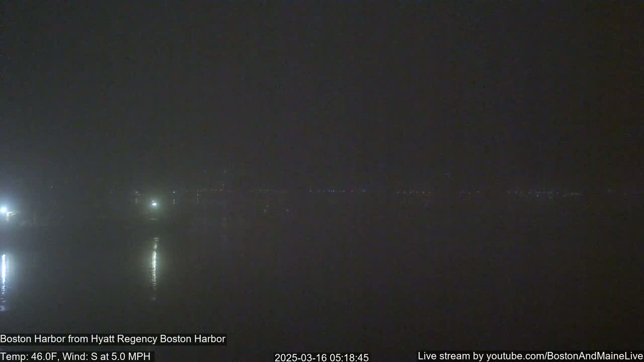 A foggy nighttime view of a dark harbor with faint lights on the far shore and a calm, reflective water surface.