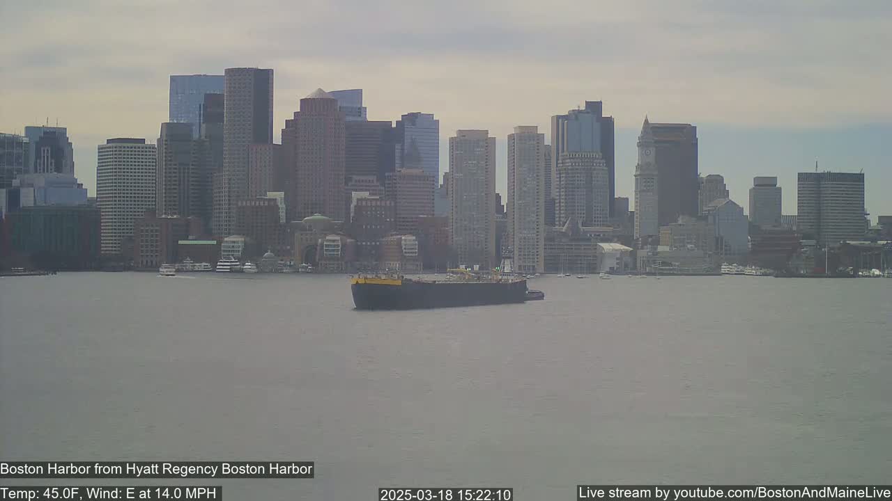 A barge is visible on a calm harbor, with a cityscape of many tall buildings under an overcast sky.