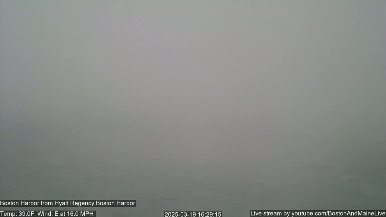A foggy harbor is visible under a gray sky with a 16 mph east wind and a temperature of 39°F.