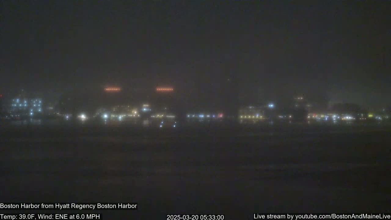 A foggy nighttime view of a city harbor with dimly lit buildings and waterfront lights.