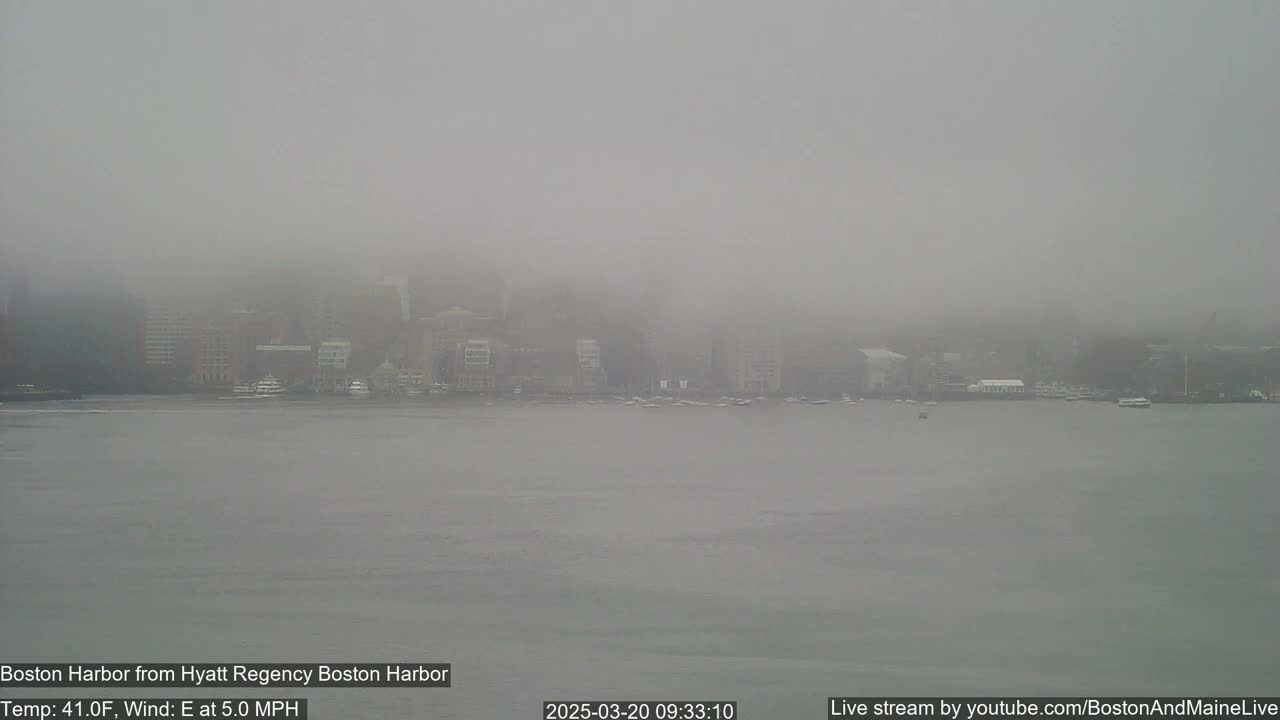 A foggy harbor scene shows a distant cityscape and several boats on the water.