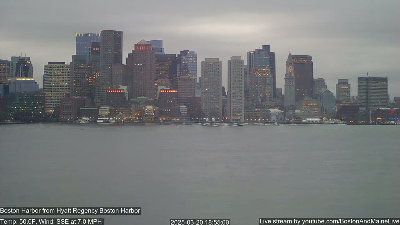 A city skyline with many tall buildings is visible across a body of water under an overcast sky.