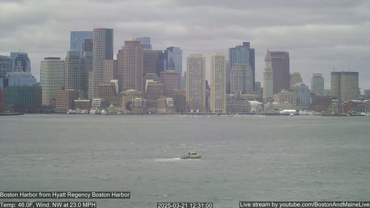 A tugboat travels across a choppy harbor in front of a city skyline under an overcast sky.