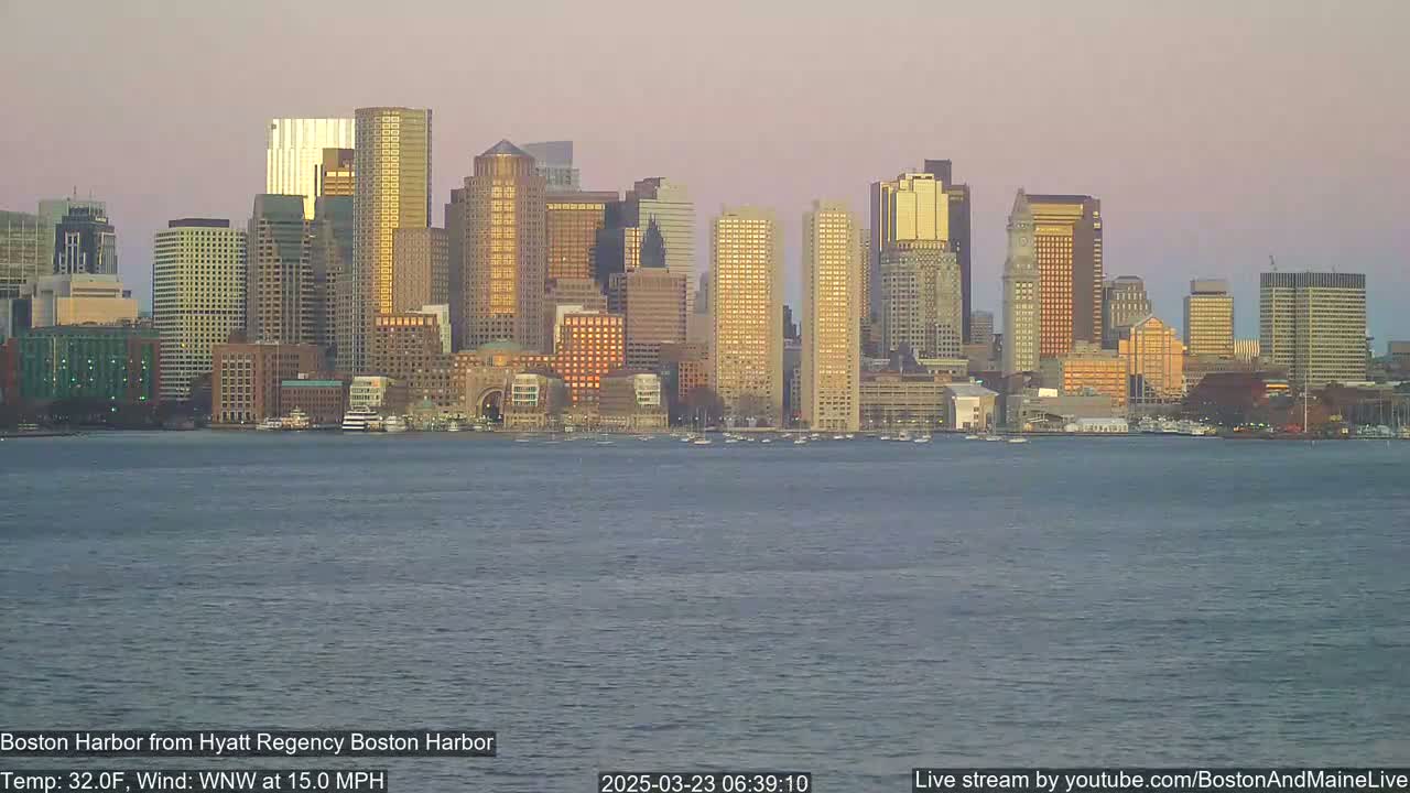 A city skyline with many tall buildings is seen across a body of water under a calm, dusky sky.