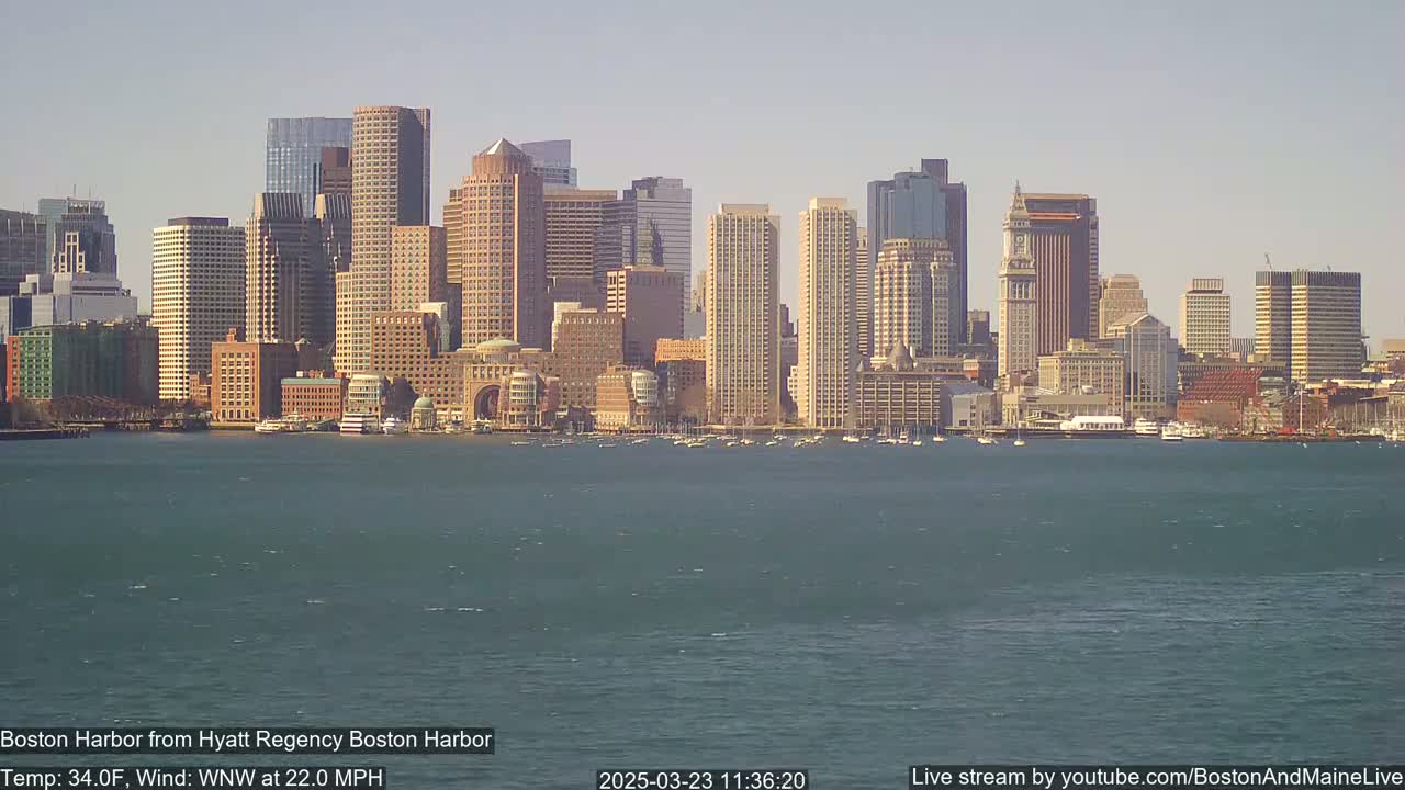 A city skyline with numerous skyscrapers is seen across a body of water on a partly sunny day with a brisk wind.