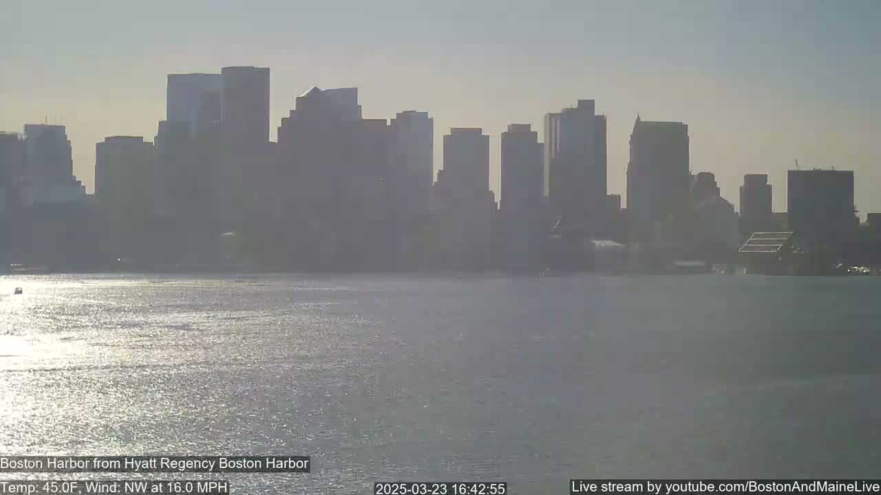 A city skyline is visible across a calm body of water under a hazy sky.