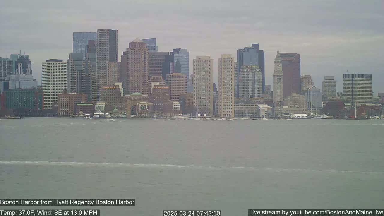 A cityscape of numerous skyscrapers and buildings is seen across a body of water under an overcast sky.