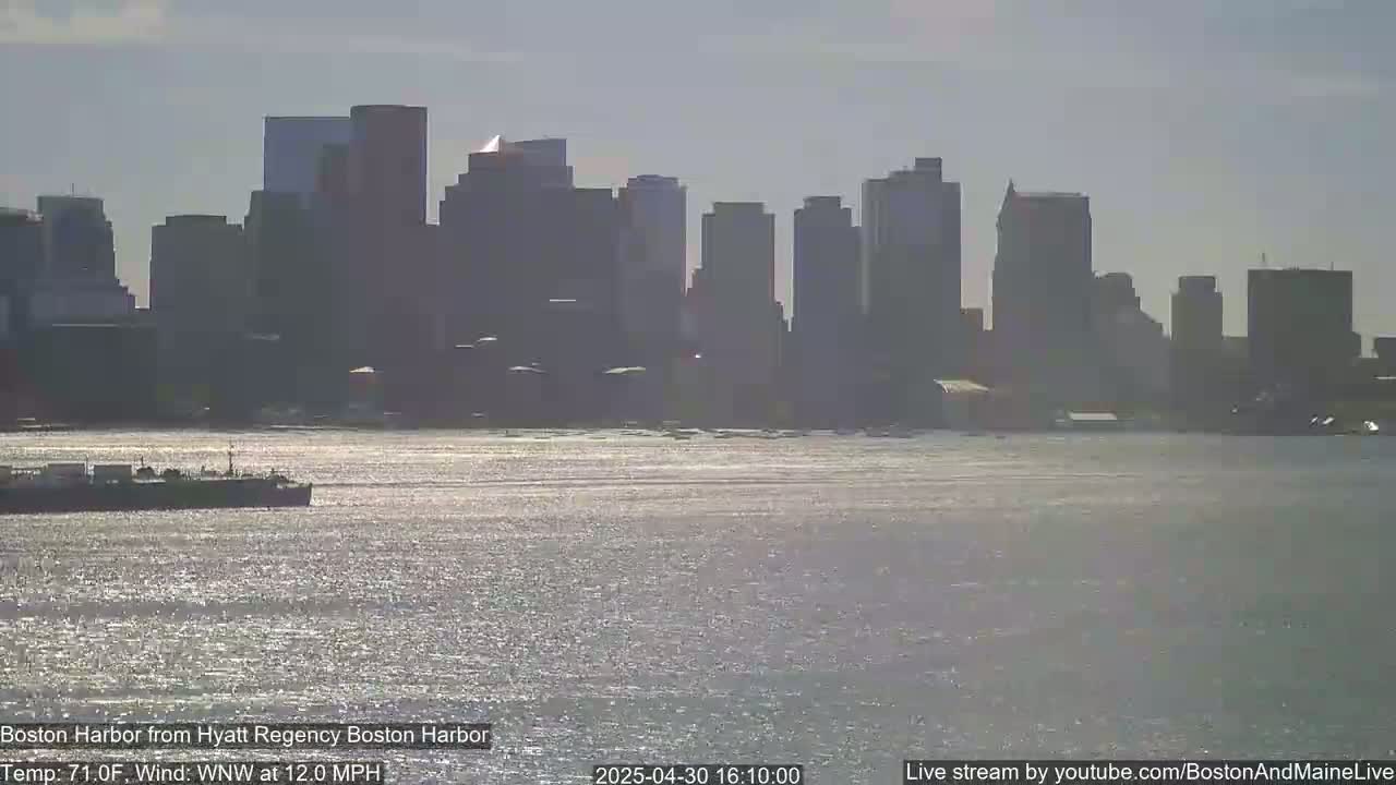 A city skyline is visible across a body of water shimmering in the sunlight under a mostly clear sky.