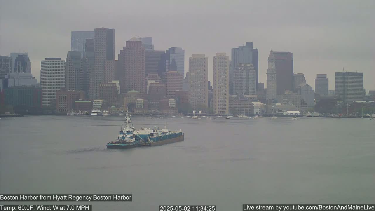 A tugboat pushes a barge across a calm harbor, with a hazy city skyline in the background under an overcast sky.