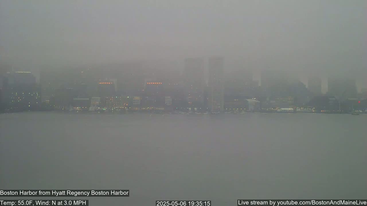 A foggy city skyline is barely visible across a body of water.