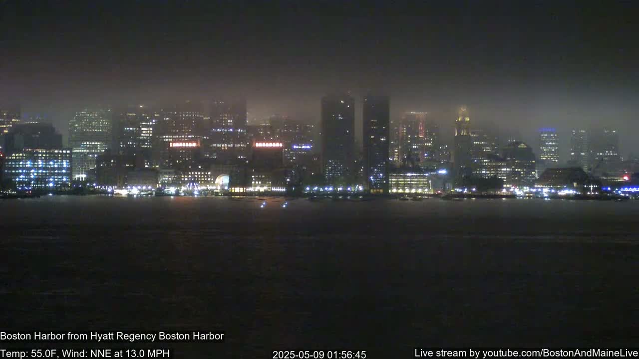 A foggy night scene shows a city skyline illuminated by lights across a dark body of water.
