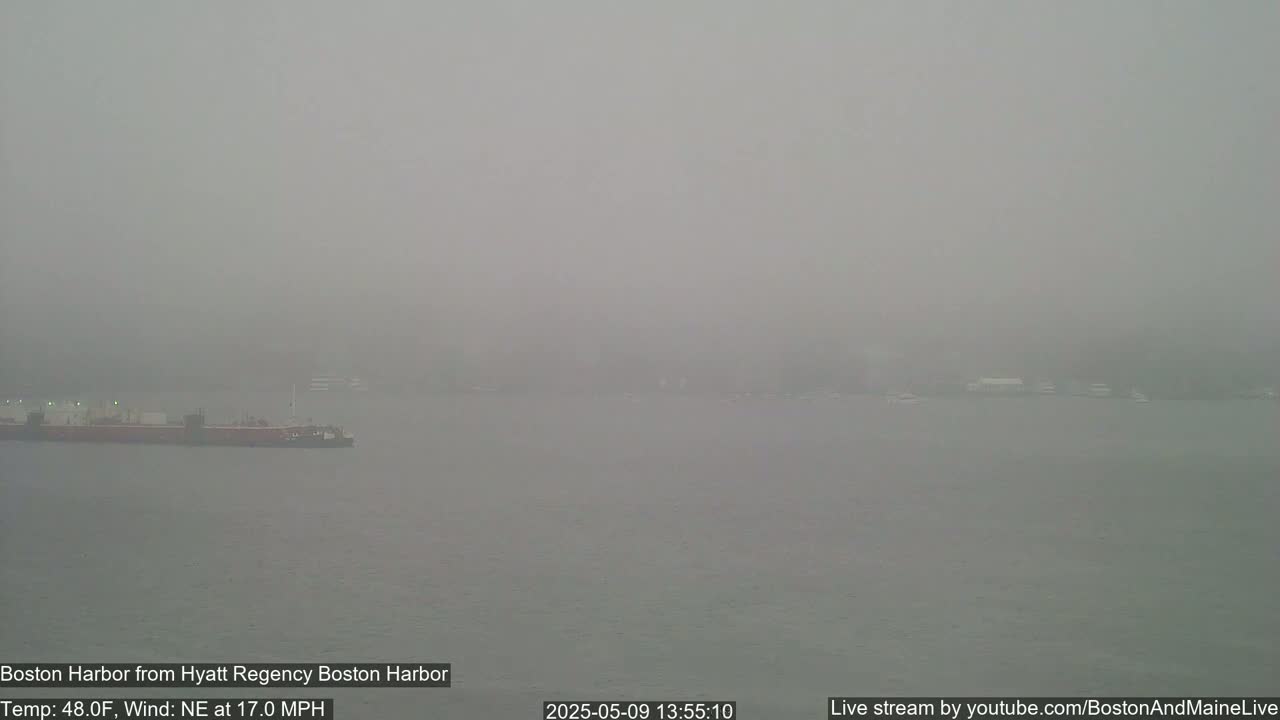 A large cargo ship is visible in a foggy harbor, with several smaller boats in the distance.