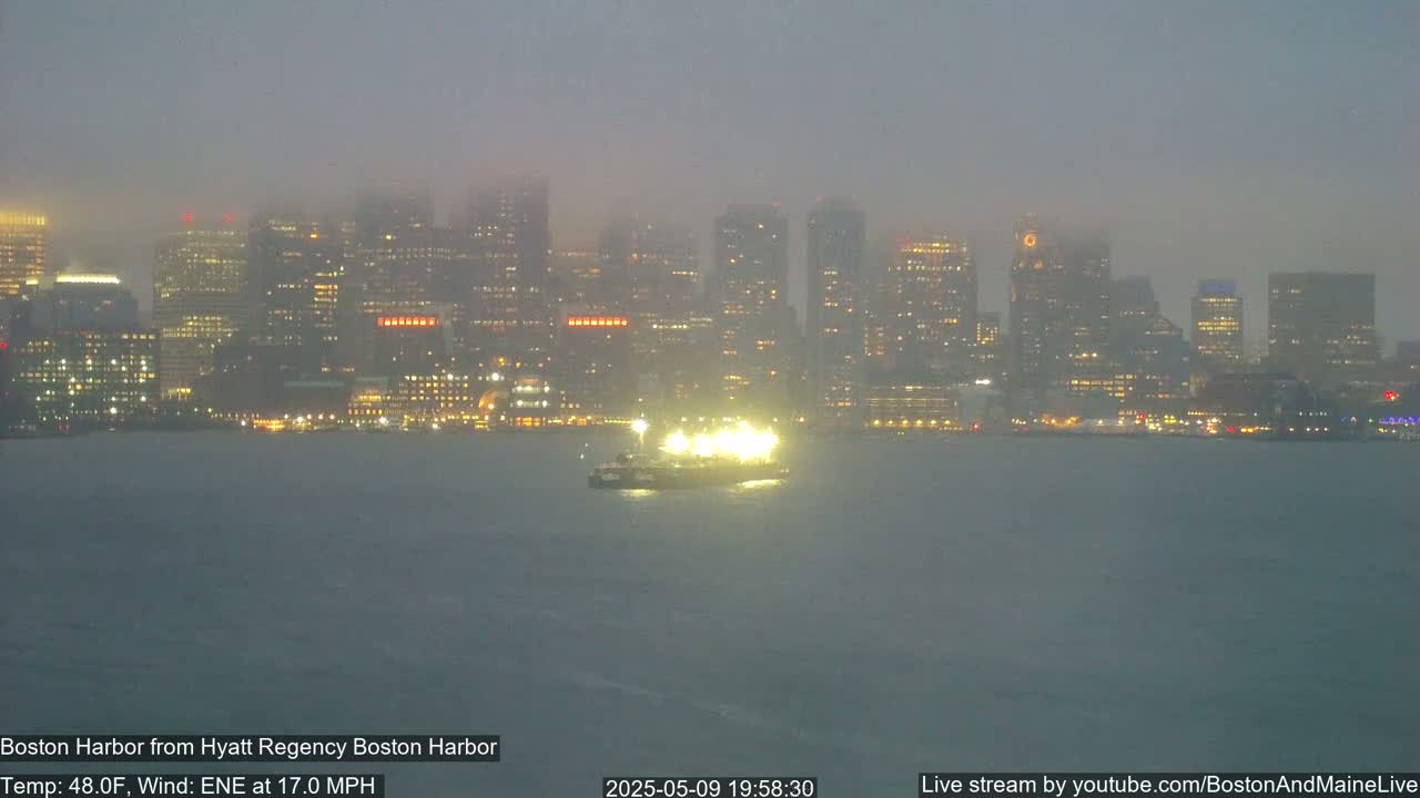 A brightly lit ferry is on a body of water in front of a hazy, nighttime cityscape.