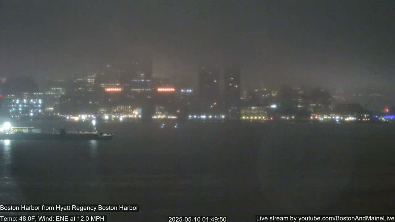 A foggy, nighttime cityscape is visible across a body of water, with a few lights illuminating the scene.