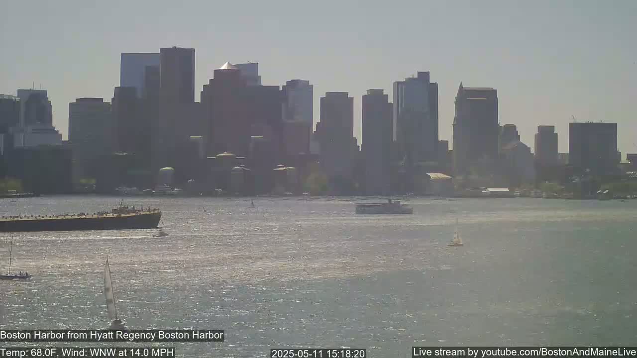 A view of the Boston skyline across a harbor on a sunny day with a 14 mph wind.