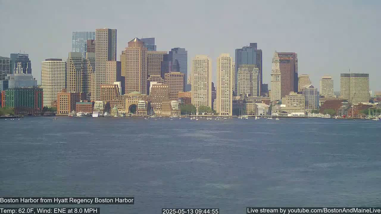 A city skyline with numerous skyscrapers is visible across a calm body of water under a clear sky.