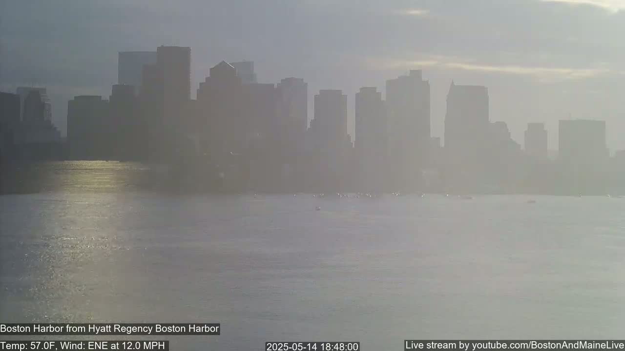 A hazy city skyline is visible across a calm body of water under a muted sky.
