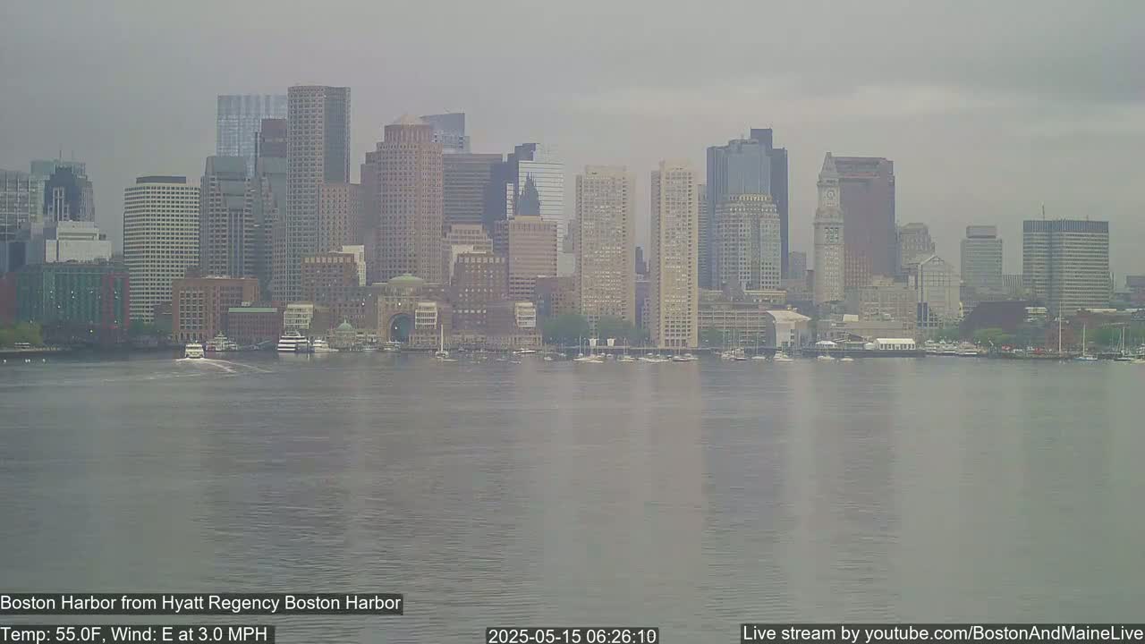 A hazy, overcast view of the Boston skyline across a calm harbor.