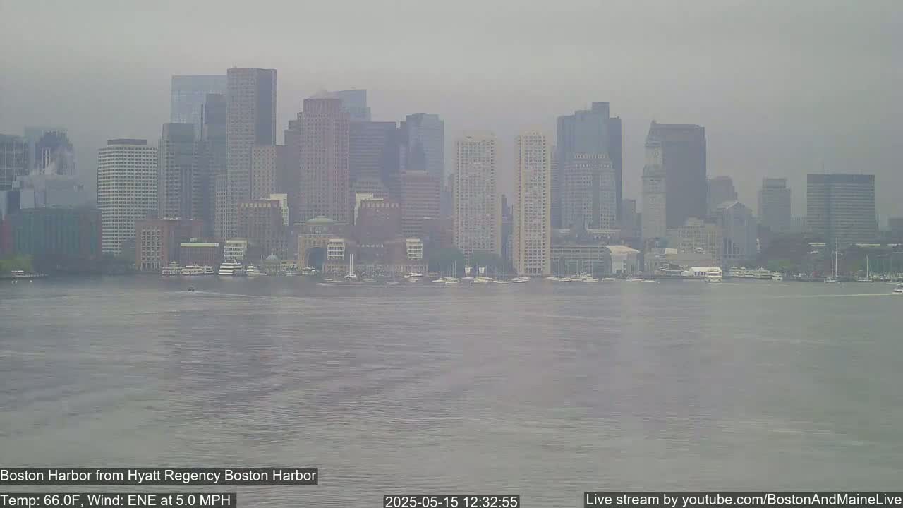 A hazy view of a city skyline across a body of water, under a gray sky.
