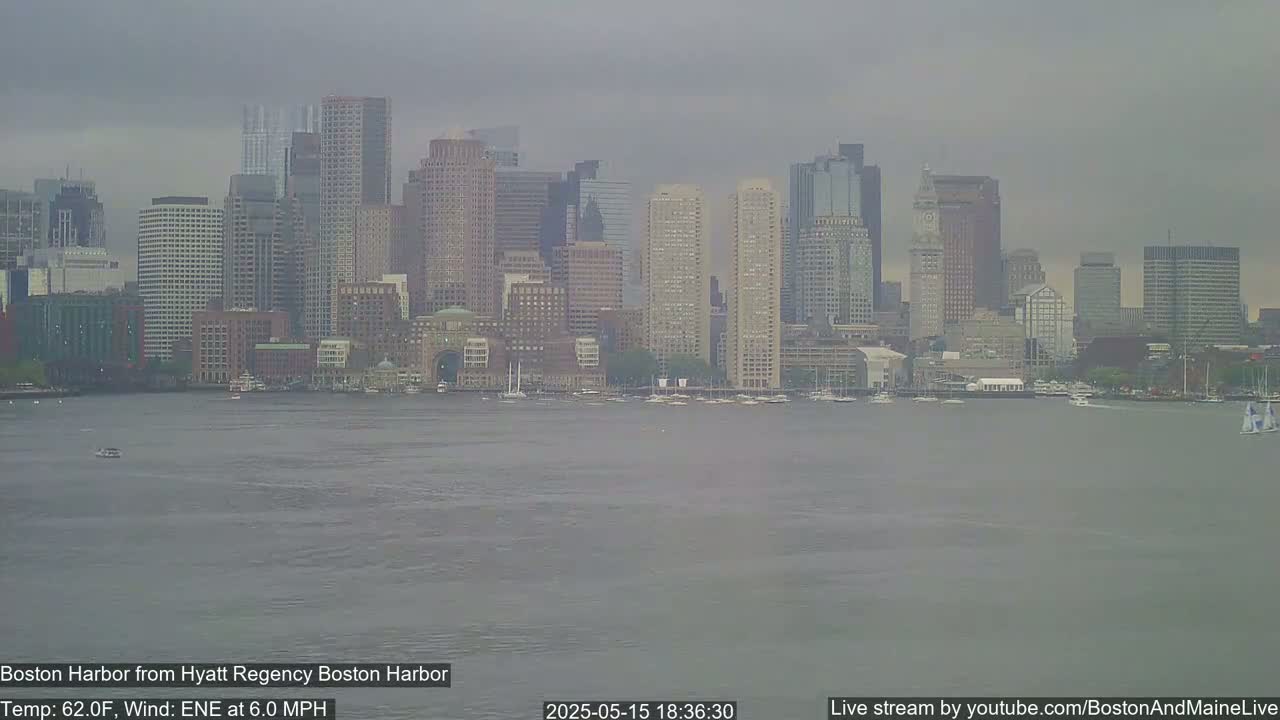 A hazy view of the Boston skyline across a calm harbor under an overcast sky.