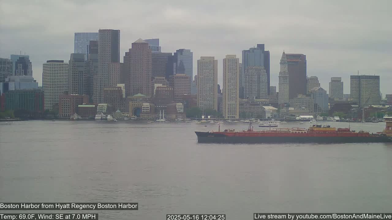 A large cargo ship sits on calm, gray water in front of a city skyline under an overcast sky.