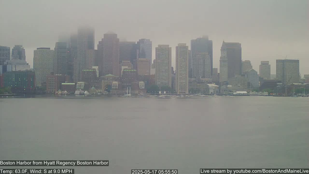 A hazy, overcast view shows a city skyline across a body of water.