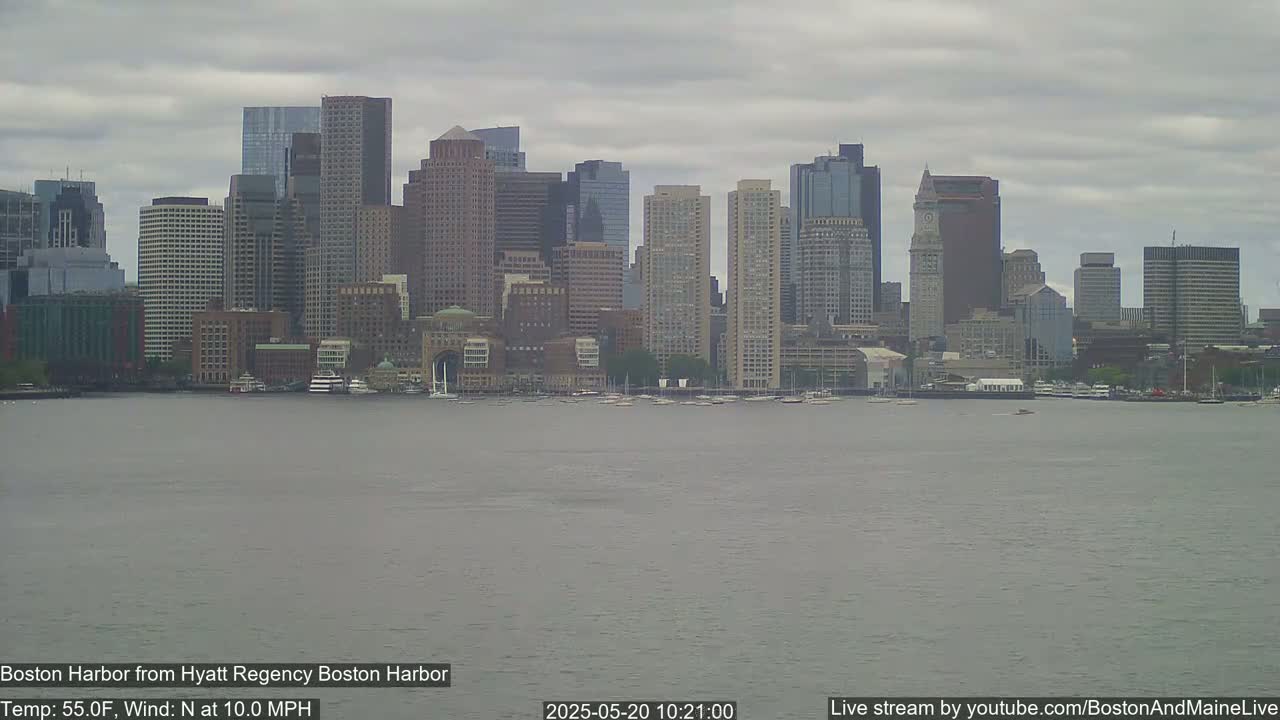 A cityscape of numerous skyscrapers and high-rise buildings is seen across a calm body of water under an overcast sky.