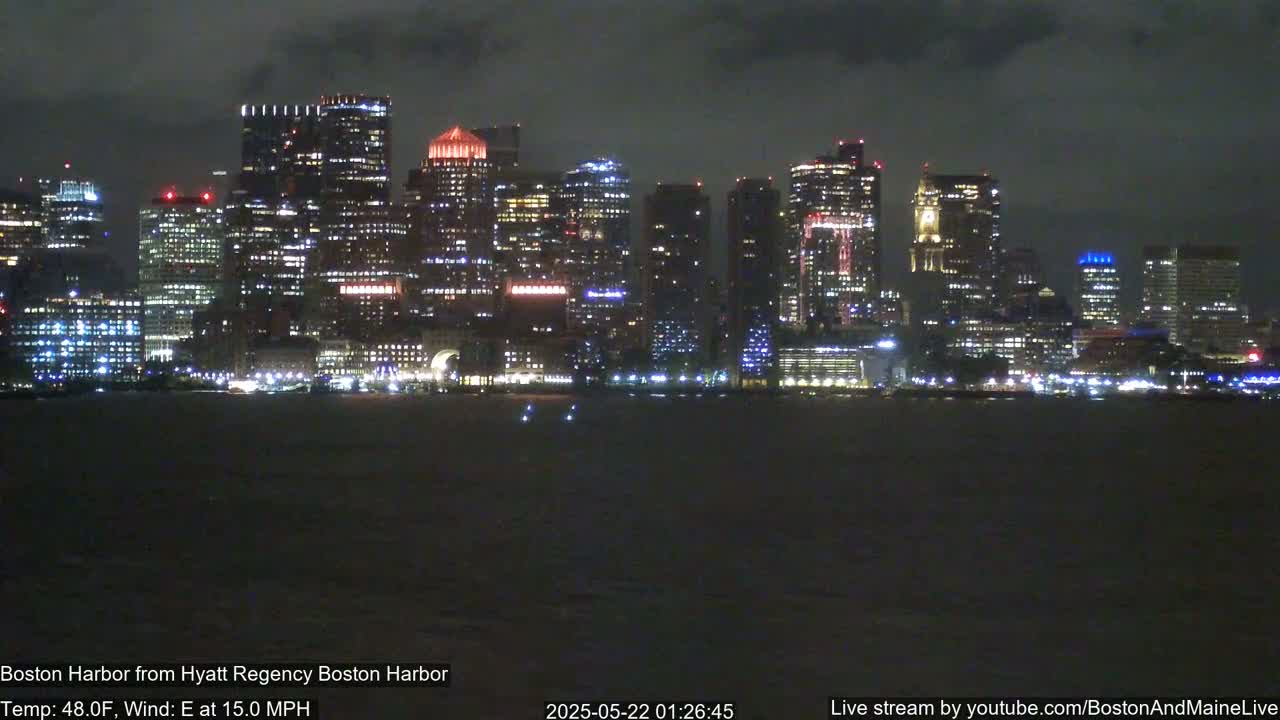 A brightly lit cityscape is viewed from across a dark body of water at night under a cloudy sky.