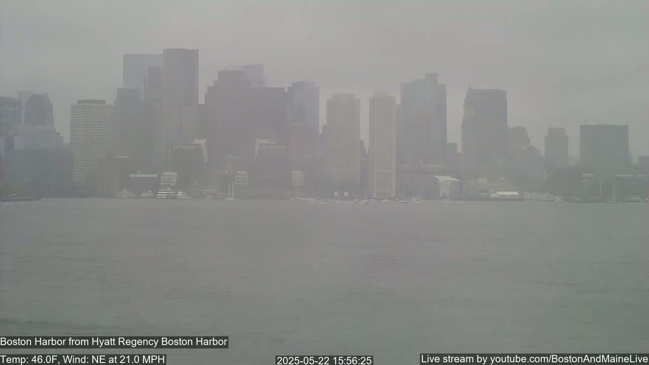 A hazy, gray cityscape is visible across a body of water under overcast skies.
