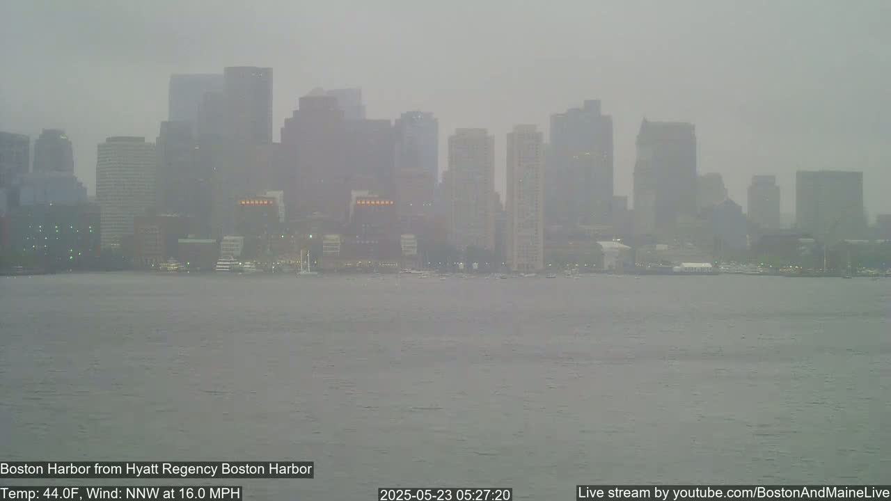 A hazy, overcast view of a city skyline across a body of water in windy conditions.