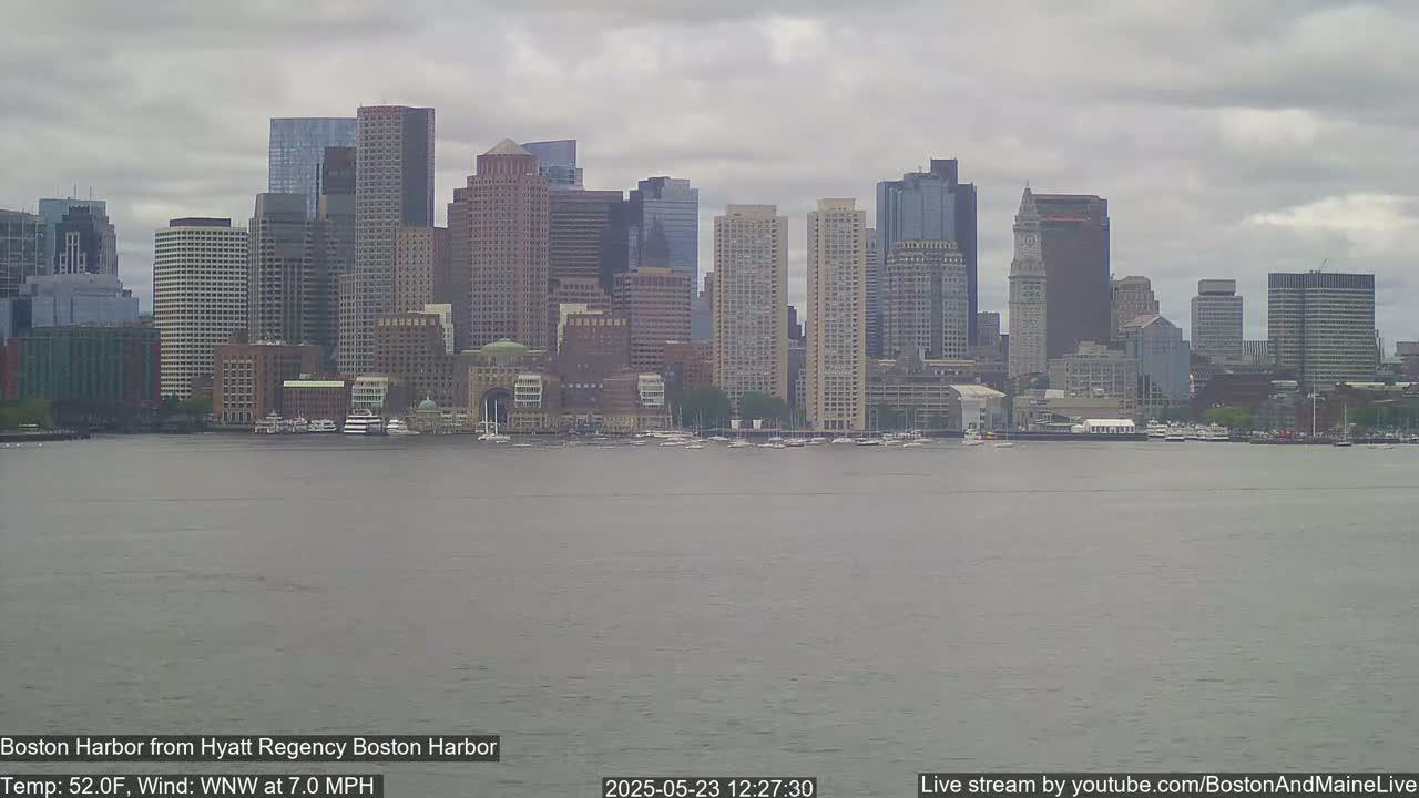 A city skyline with numerous tall buildings is visible across a calm harbor under an overcast sky.